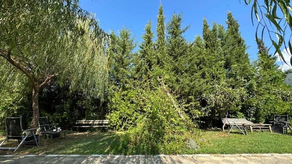 Green House Kvareli Exterior photo