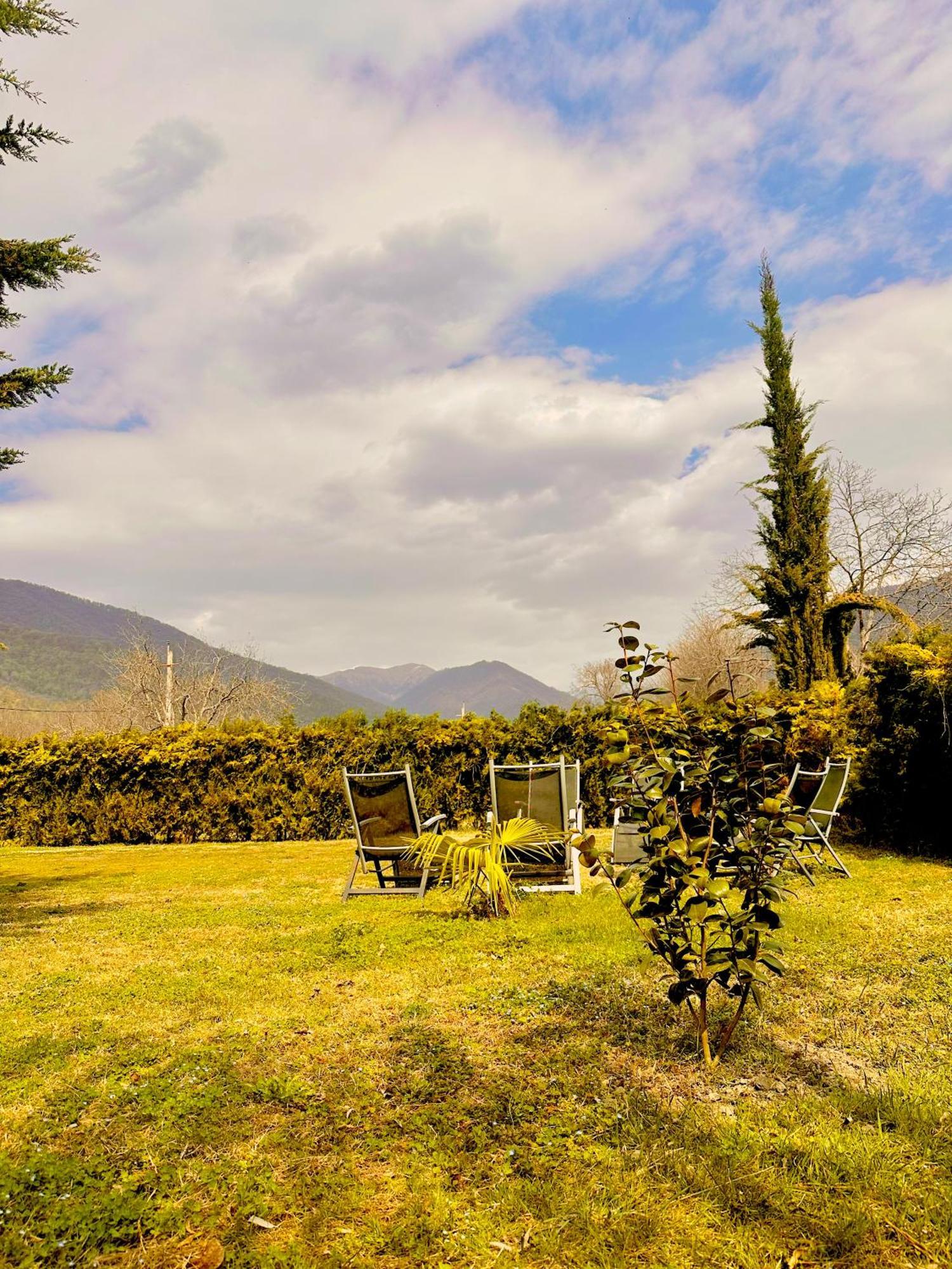 Green House Kvareli Exterior photo